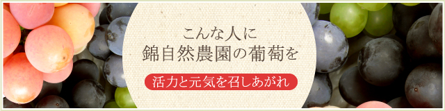 こんな人に錦自然農園の葡萄を 活力と元気を召しあがれ