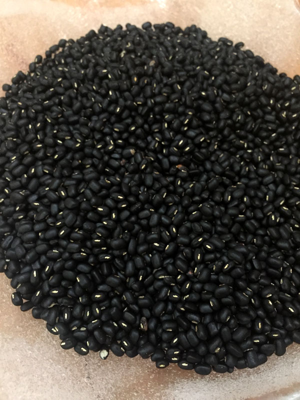 山形県産】 黒あずき 黒小豆 10kg 黒ささげ