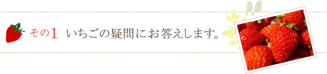 いちごの疑問にお答えします。