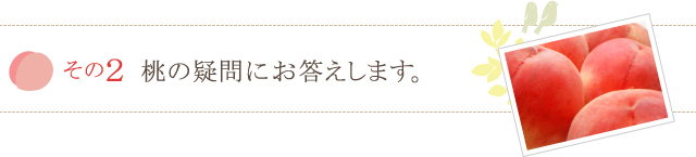 桃の疑問にお答えします。