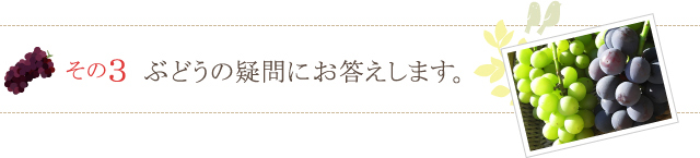 ぶどうの疑問にお答えします。