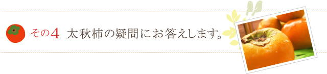 太秋柿の疑問にお答えします。