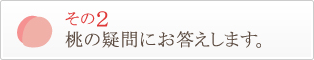 その２ 桃の疑問にお答えします。