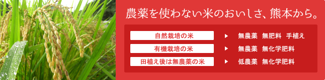 農薬を使わない米のおいしさ、熊本から。