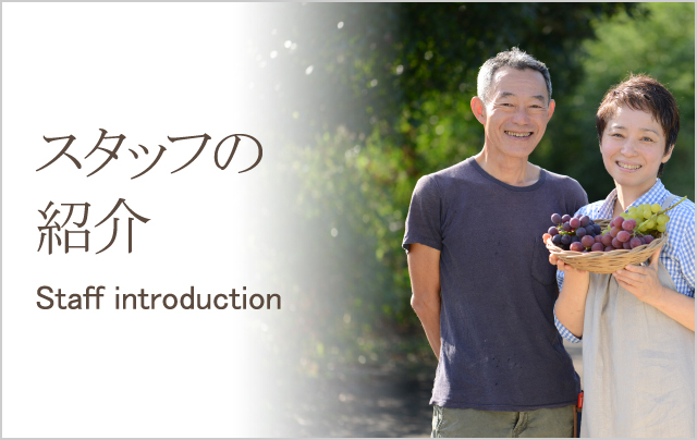 スタッフの紹介